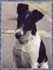 Buster